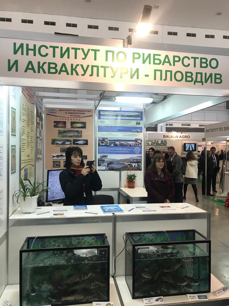 e0ba9631-8daf-4c56-baa3-8f3e89179c42