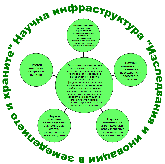 RINA logo